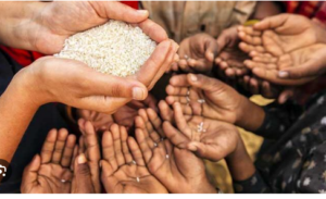 Climatae Change Affects Human Health in Africa